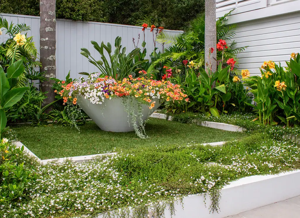 Contemporary garden design in Herne Bay featuring a large concrete bowl planter with colourful flowers, tropical foliage, and lush groundcover foliage.
