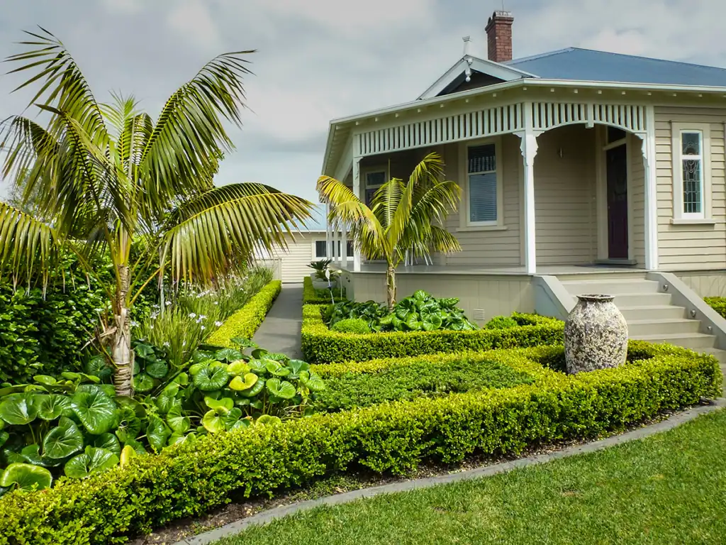 Formal front Mt Eden garden with structured box hedging, tropical palms, lush green foliage and a classic villa entrance.