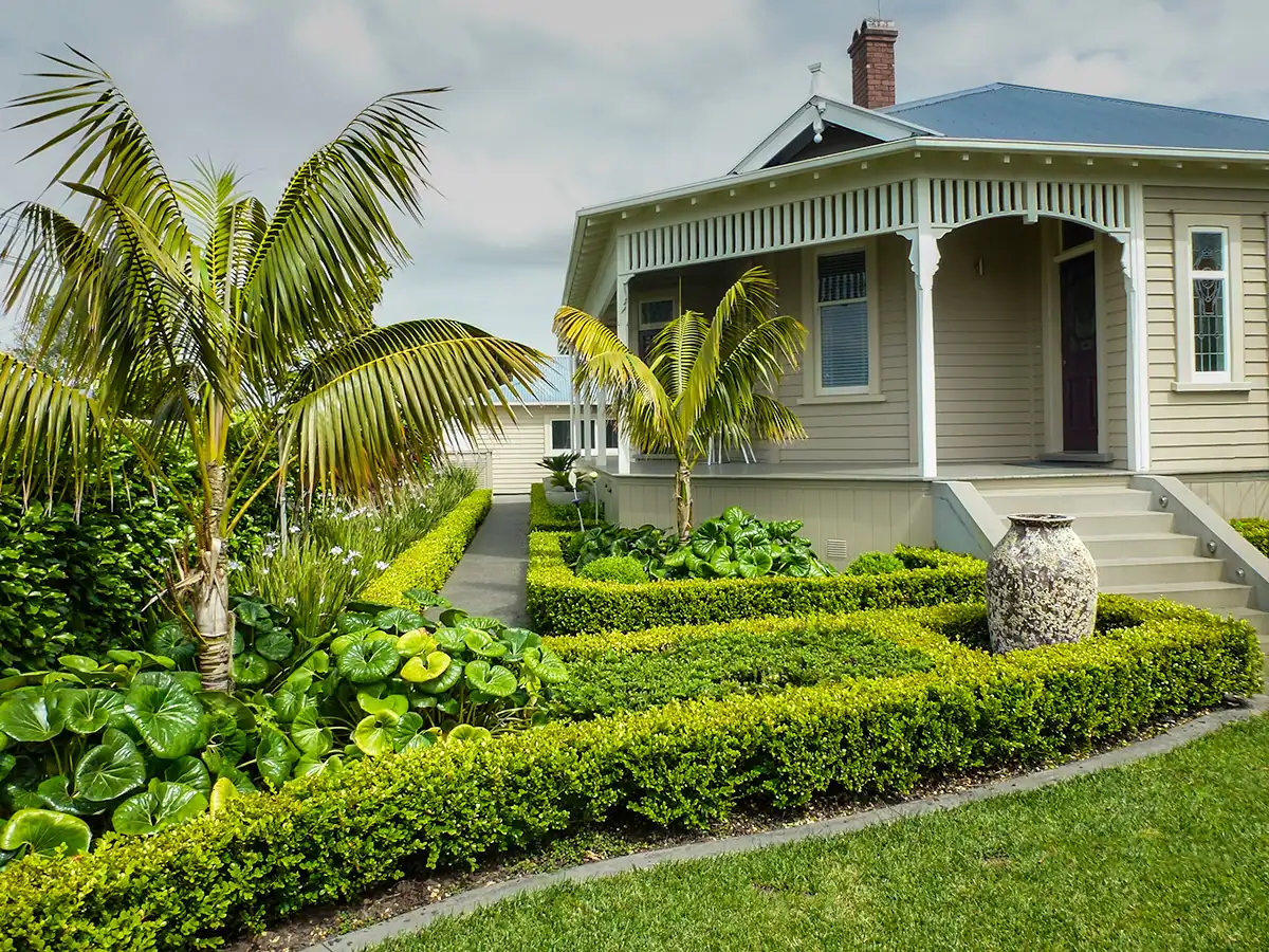 Formal front Mt Eden garden with structured box hedging, tropical palms, lush green foliage and a classic villa entrance.