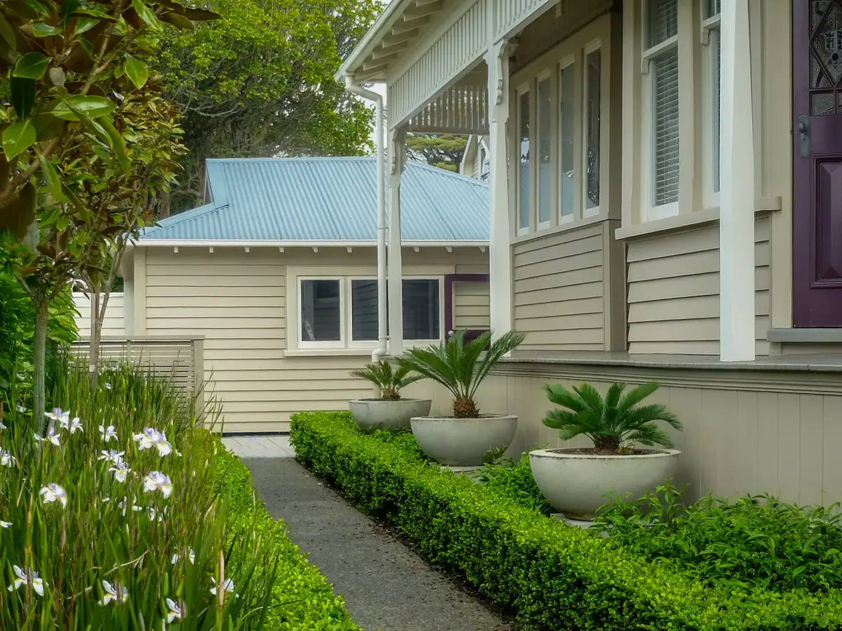 Mt Eden formal garden with Buxus edging, raised concrete plinth with Cyad palms.