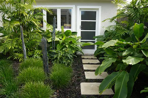 Garden Design showing Lomandra