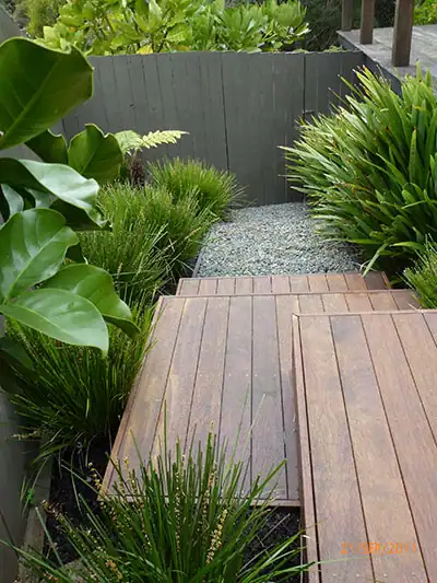 Garden Design showing Lomandra