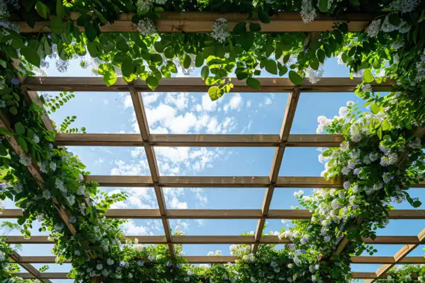 Garden pergola with climbing vines Pergola covered with climbing vines creating dappled shade in the garden.