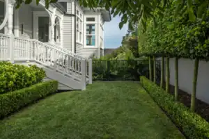 Narrow lawn framed by clipped hedges and structured planting beside a home